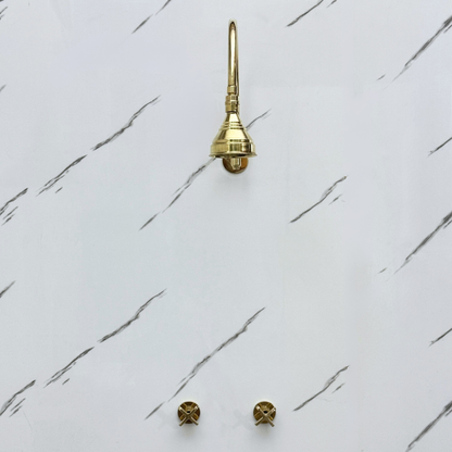 Unlacquered Brass Shower System with Adjustable Round Rain Shower Head, Arcuate Arm and Cross Handles