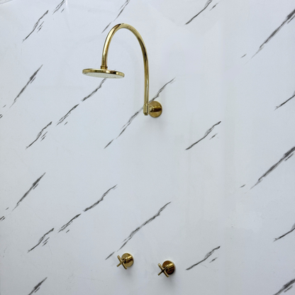 Unlacquered Brass Shower System with Adjustable Flat Round Rain Shower Head, Arcuate Arm and Cross Handles